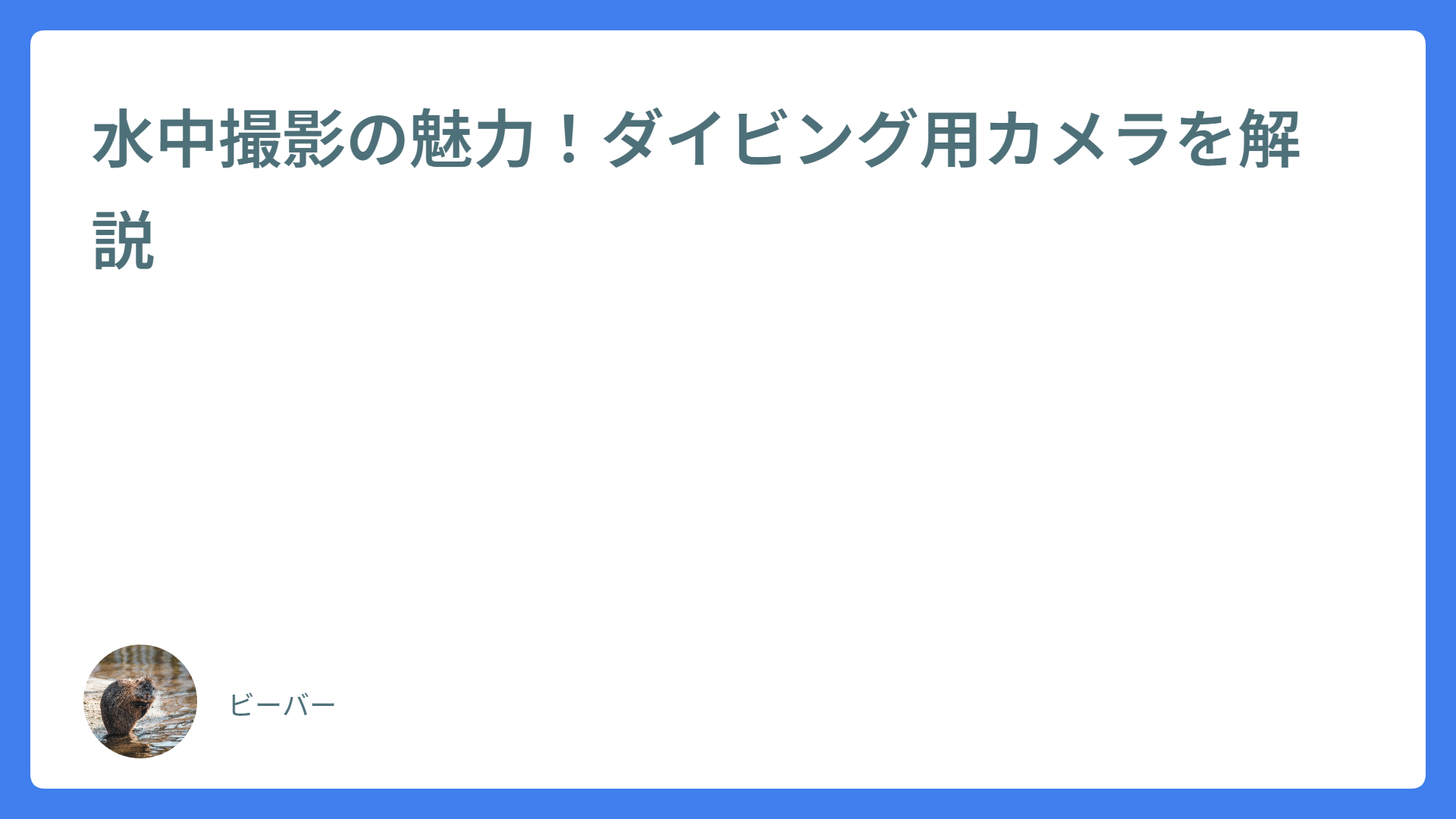 水中撮影の魅力！ダイビング用カメラを解説