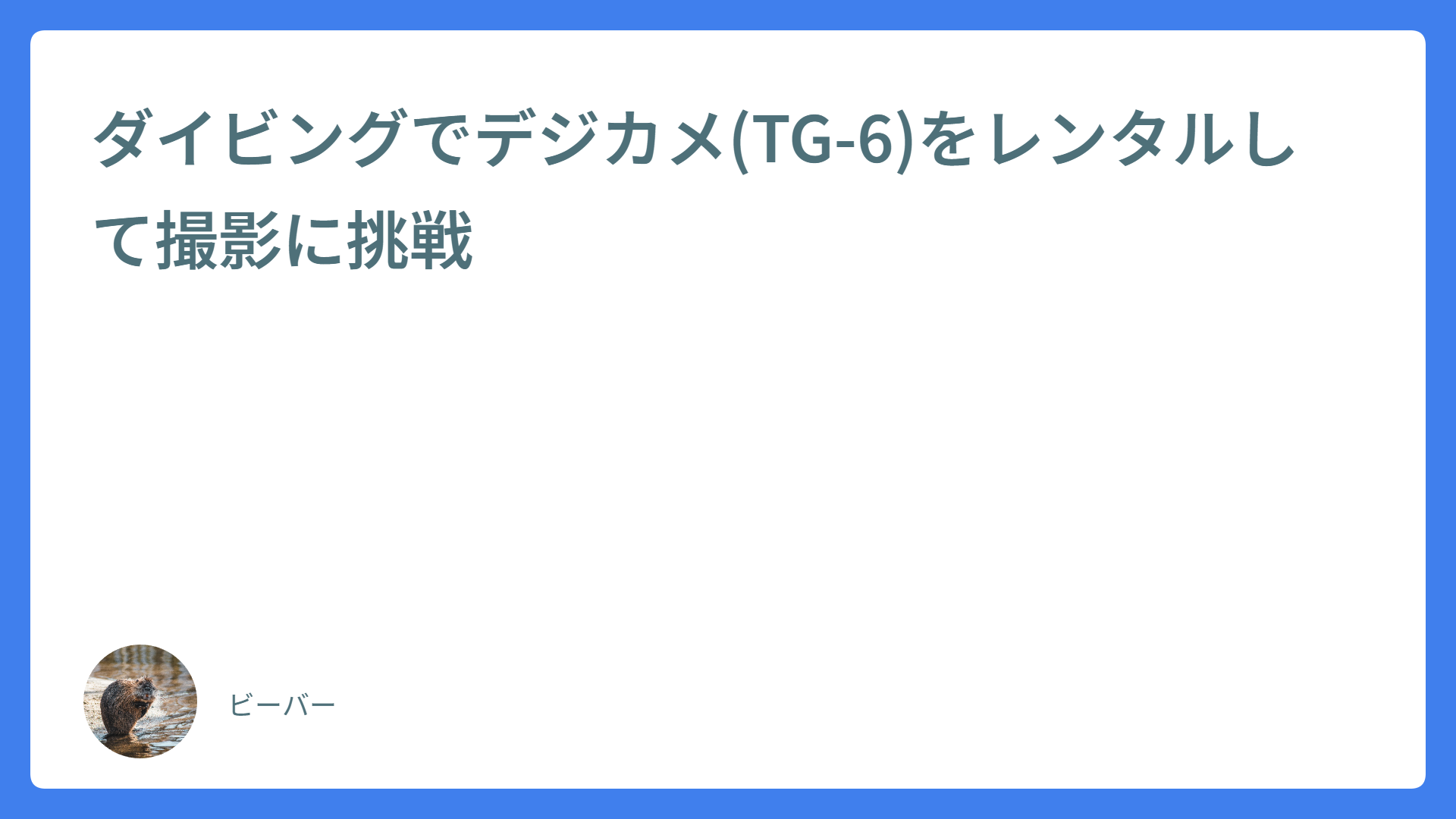 ダイビングでデジカメ(TG-6)をレンタルして撮影に挑戦　
